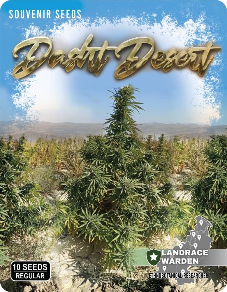 Dasht Desert Regular Seeds - 10