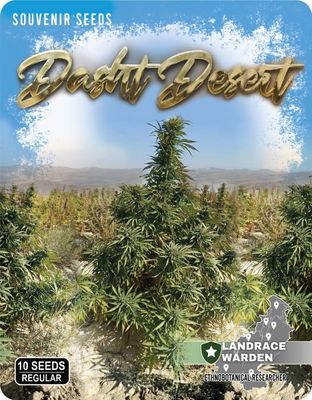 Dasht Desert Regular Seeds - 10