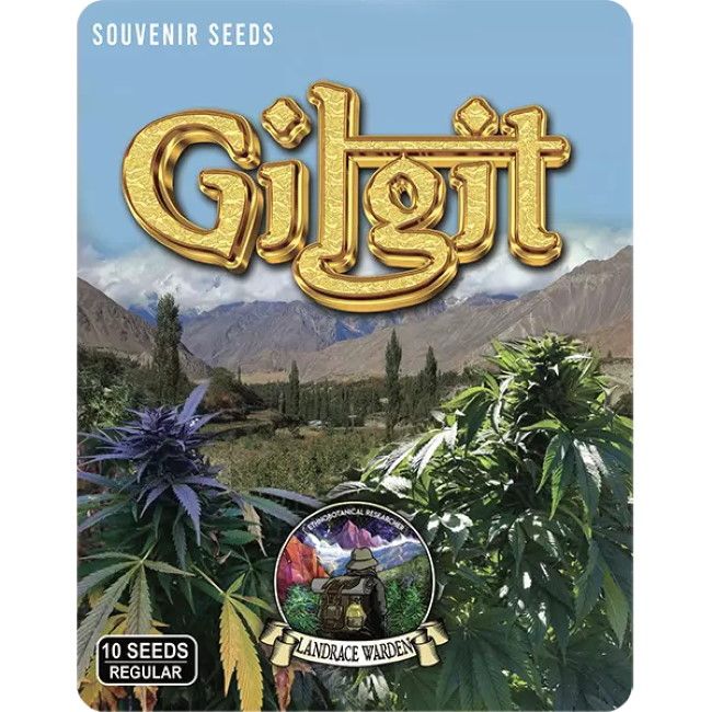 Gilgit Green Regular Seeds - 5