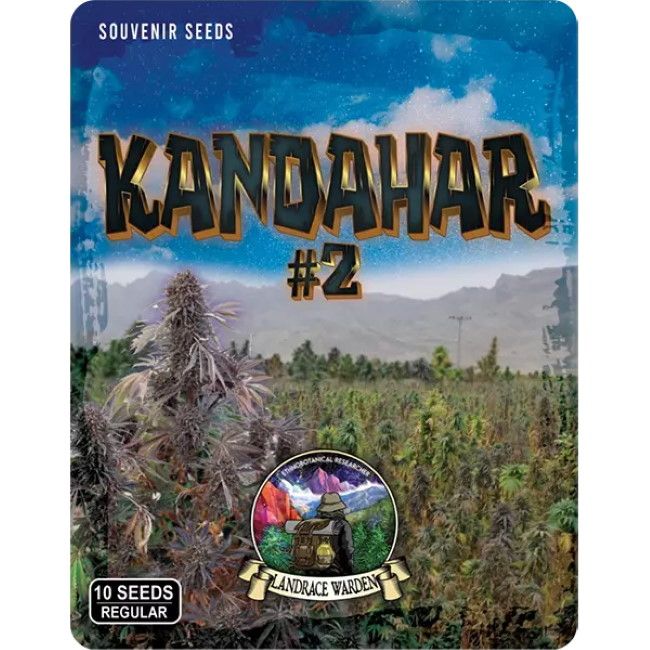 Kandahar Arghandab #2 Regular Seeds - 5