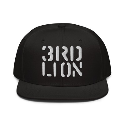 Snapback Hat