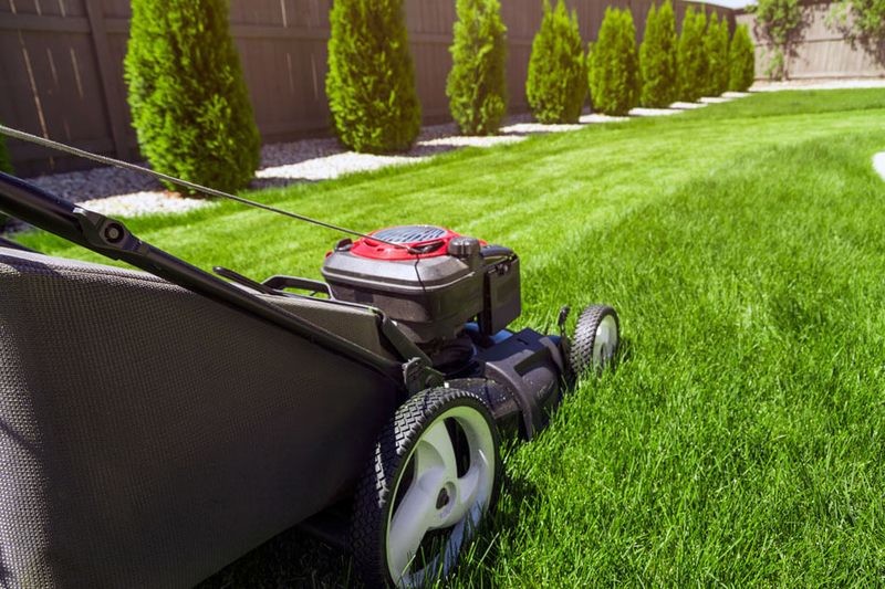 Lawn Mowing (under 1 acre)