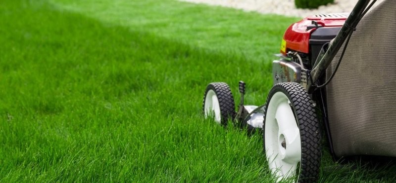 Lawn Mowing (over 1 acre)