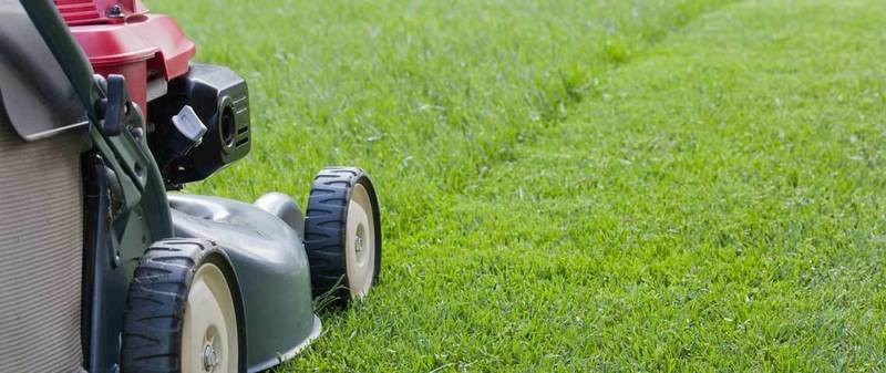 Discount Lawn mowing (10% off deal)