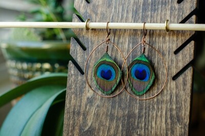 Peacock Feather Copper Hoop Earrings
