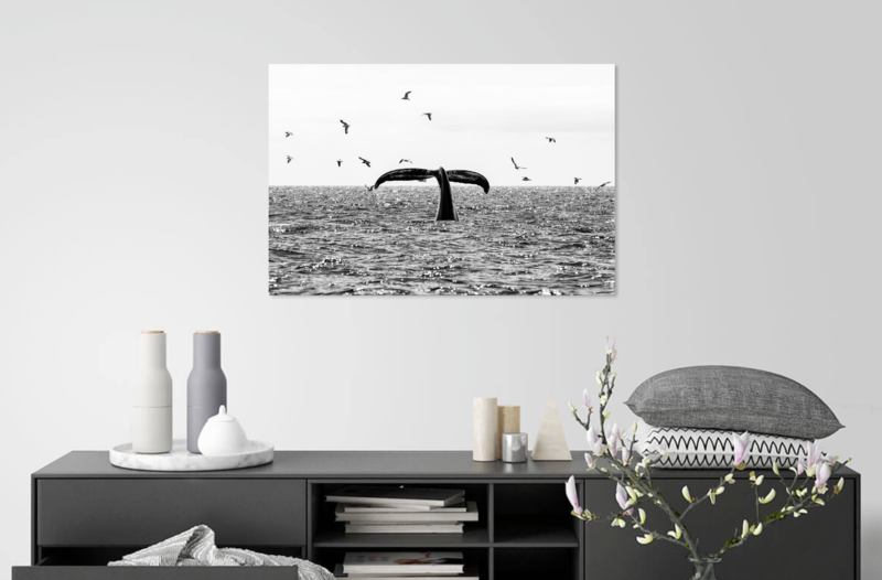 Humpback Dive 24x36