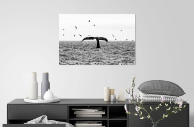 Metal Prints For Sale