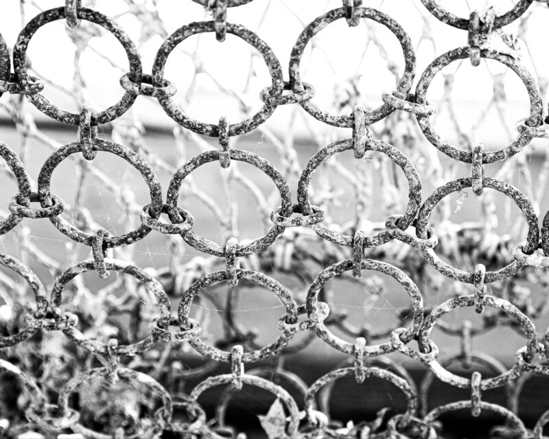 Dredge Rings 16x20