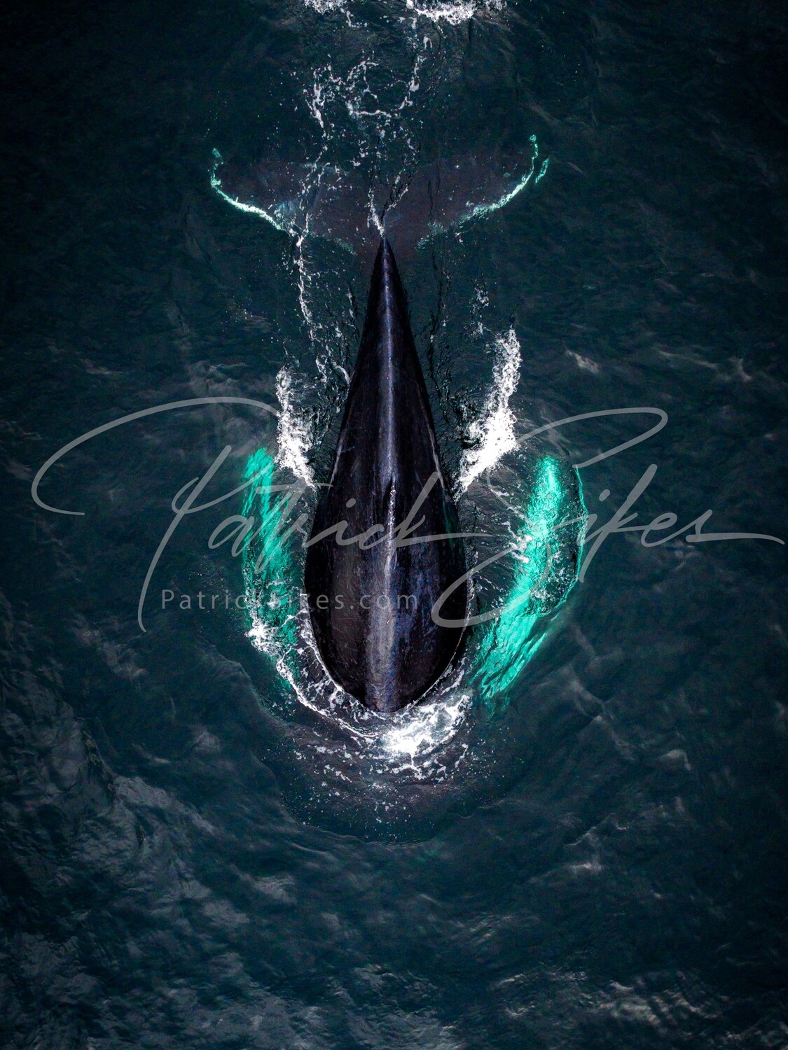 Teardrop in the Ocean 24x32 Semi Gloss Aluminum