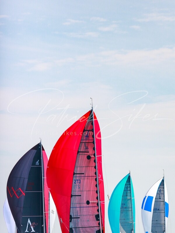 Flying Kites 12x16 Matte Aluminum