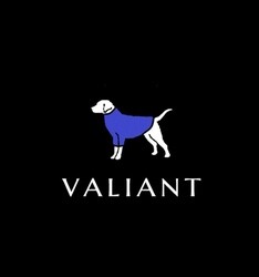 Valiant Dog Jumpers