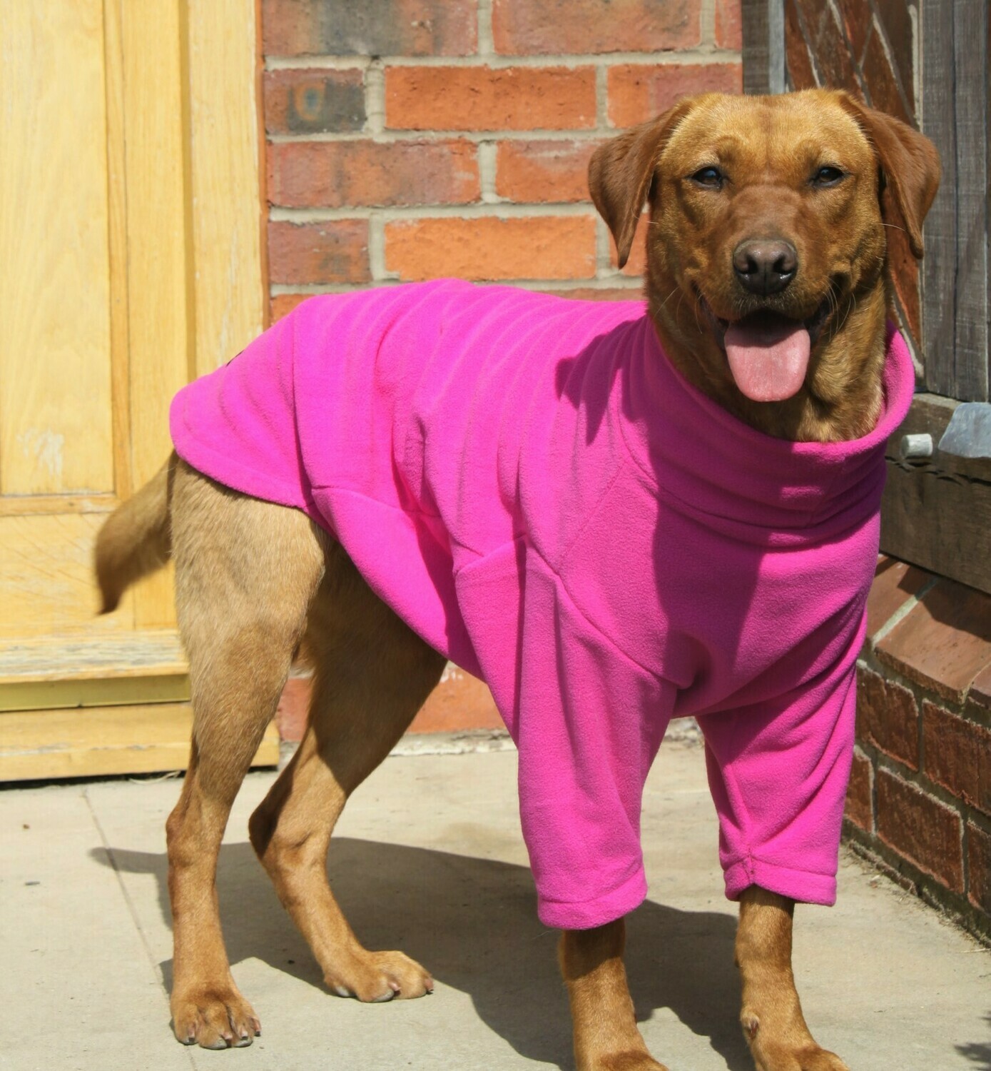 Fuchsia Pink