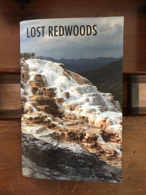 Lost Redwoods #5