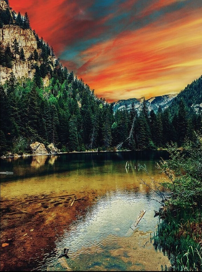 Orlando Luna "Lizard Lake"