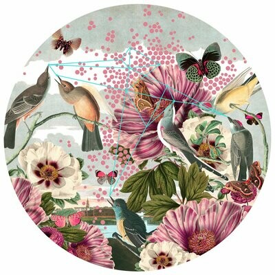 Alexandra Gallagher "Bird with Butterflies"