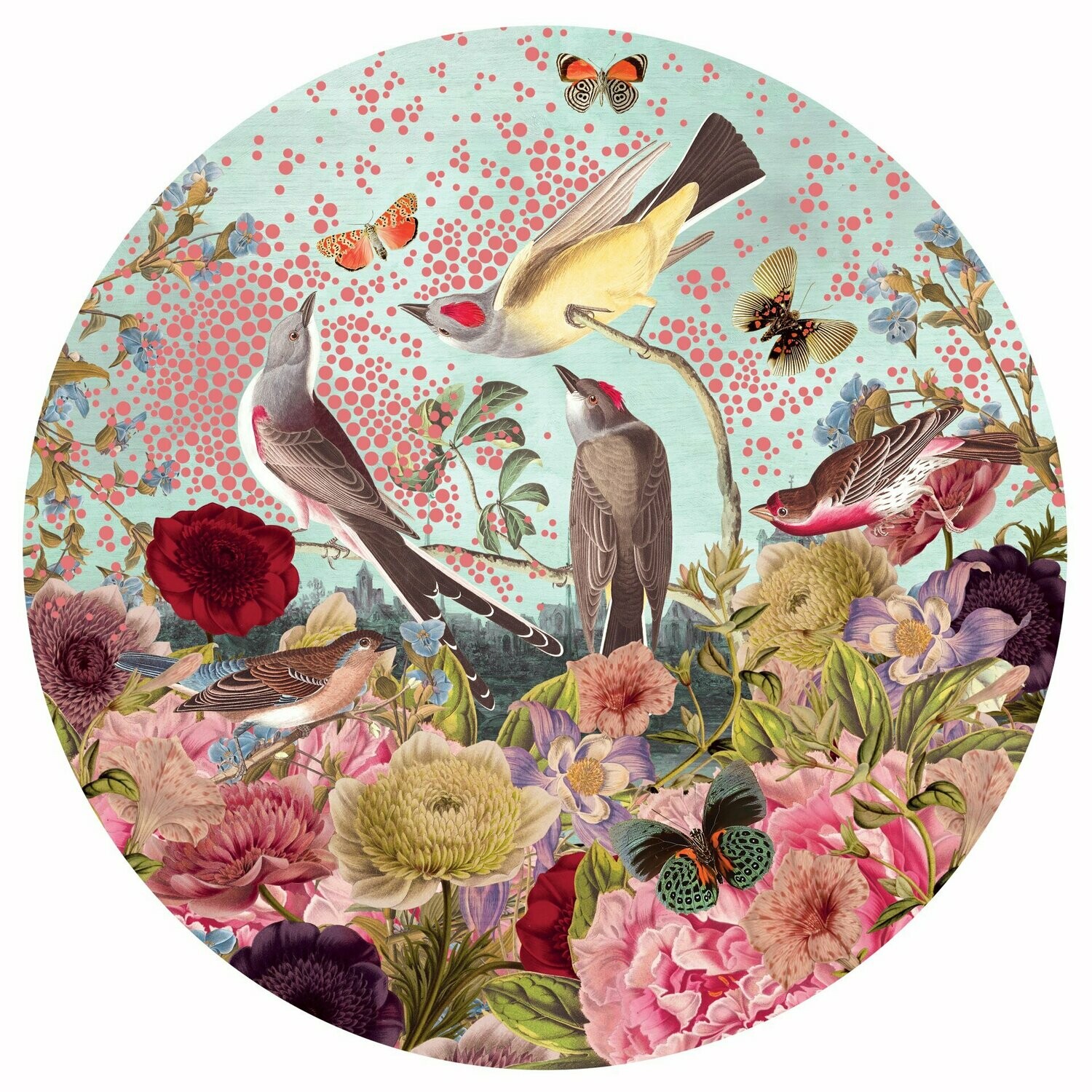 Alexandra Gallagher "This Land"