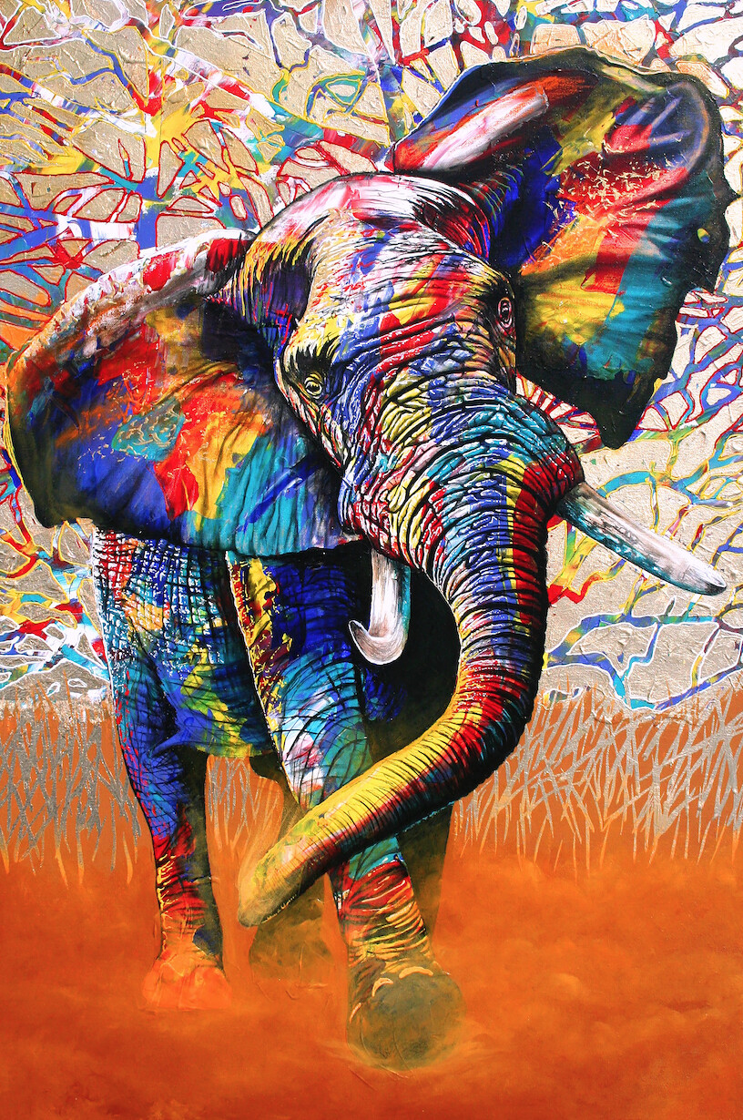 Graeme Stevenson "African Colors"