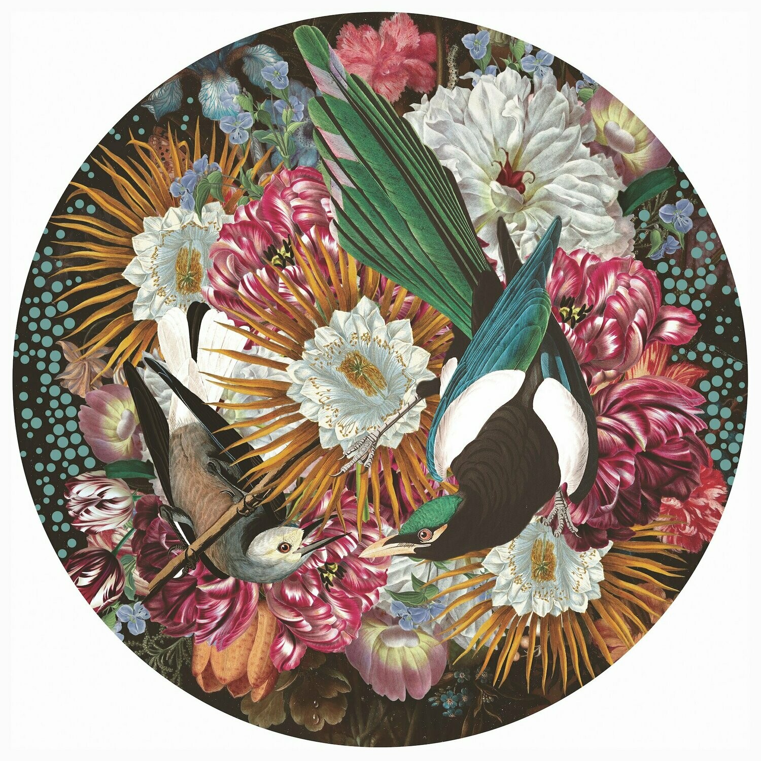 Alexandra Gallagher "Magpie"