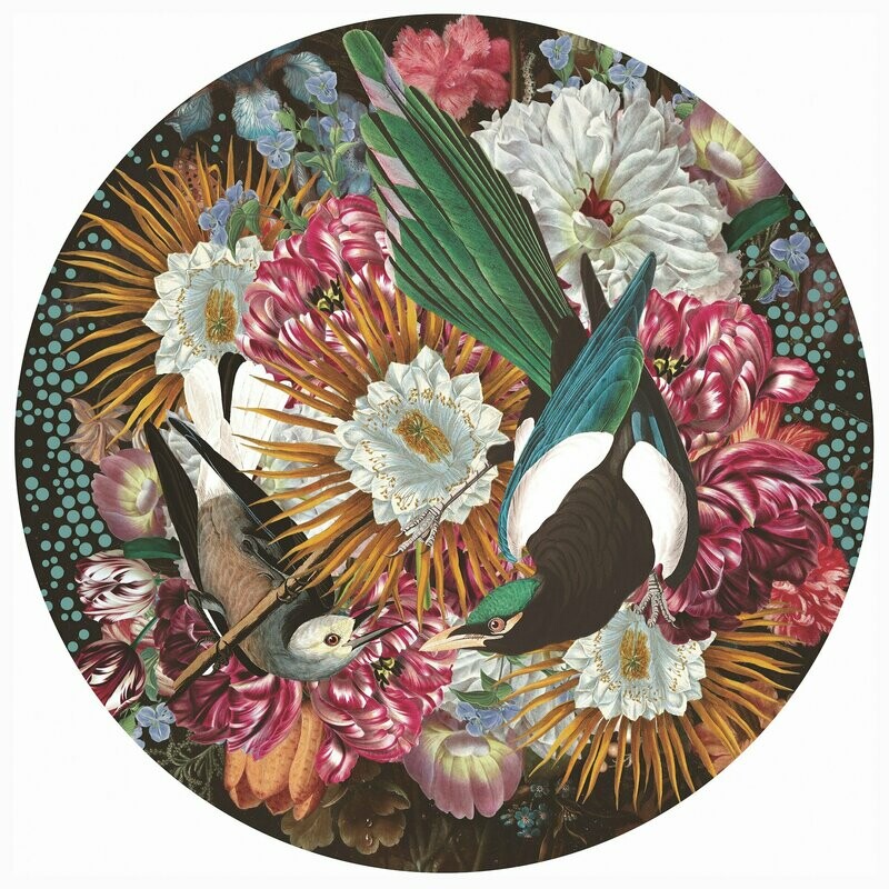 Alexandra Gallagher "Magpie"