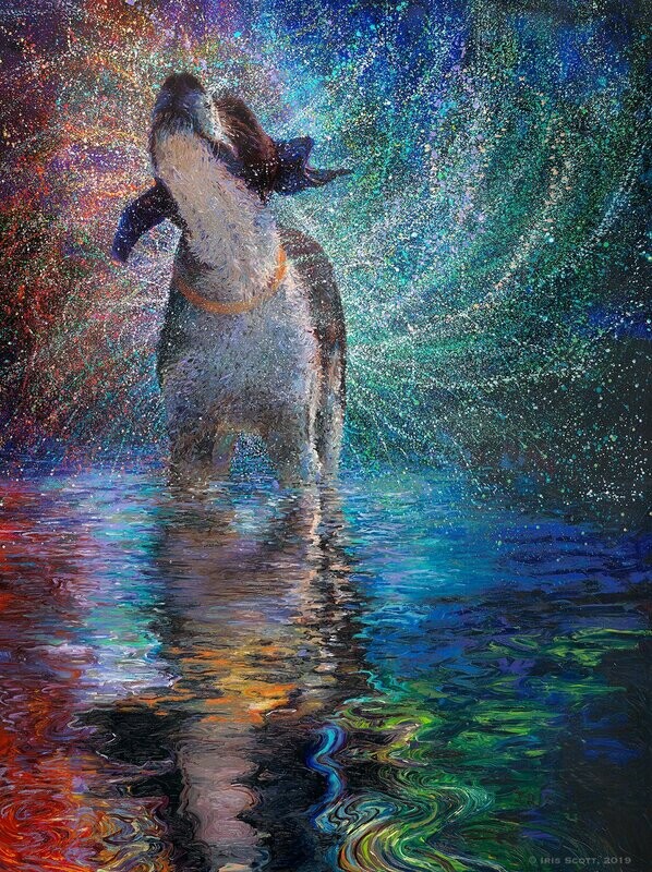 Iris Scott "Arcus"