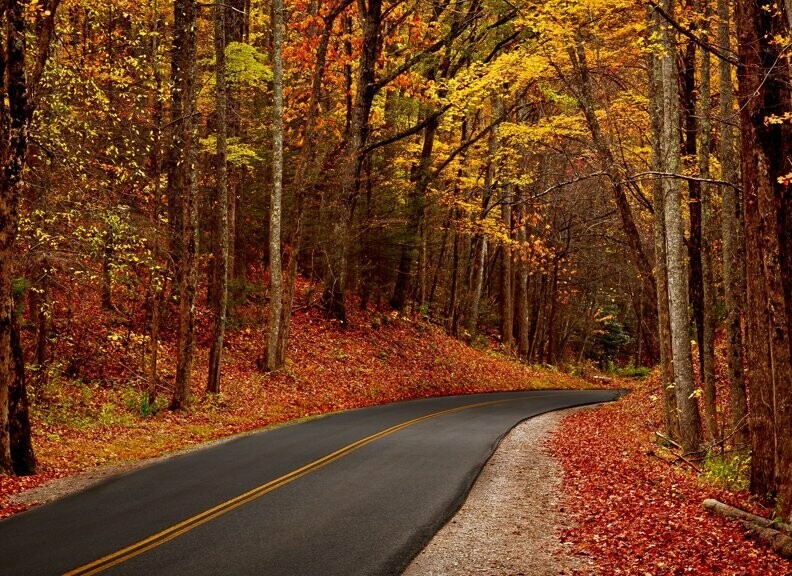 Starz Puzzles "An Autumn Drive"