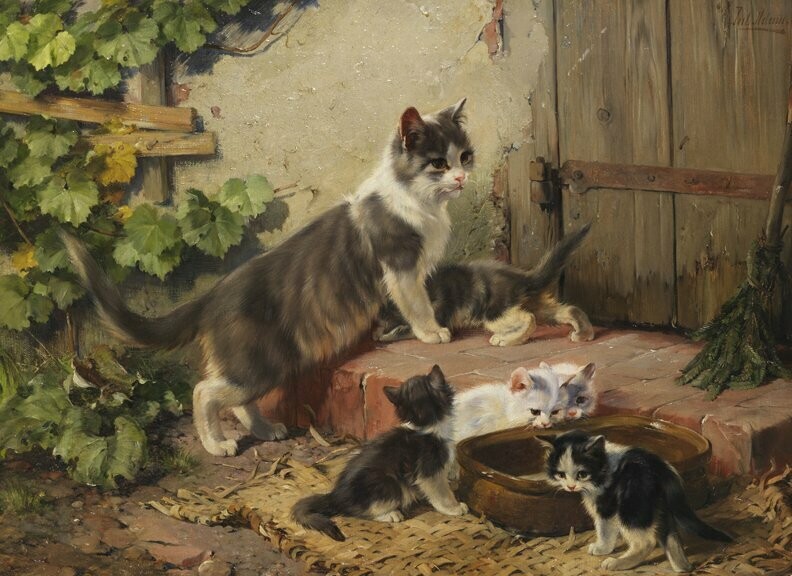 Mother Cat With Her Kittens