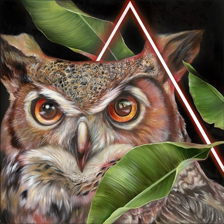 Samantha DeCarlo "Knight Vision" Square
