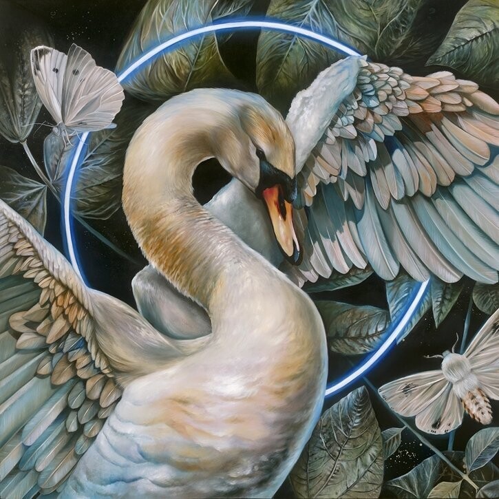 Samantha DeCarlo "Neon Swan" Square