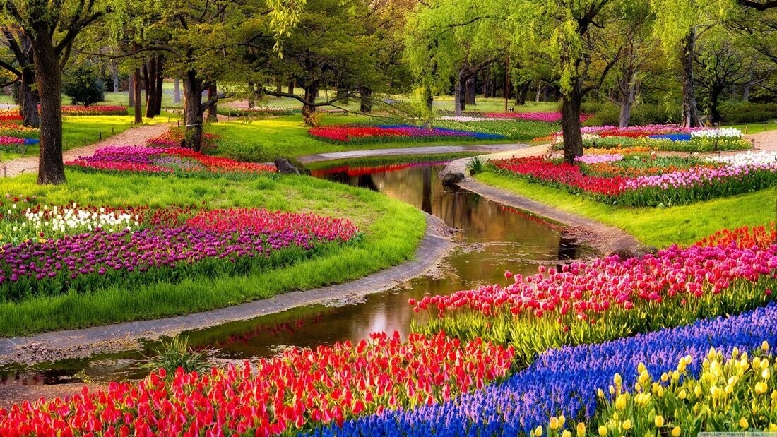 Starz Puzzles "Tulip Garden" Elongated