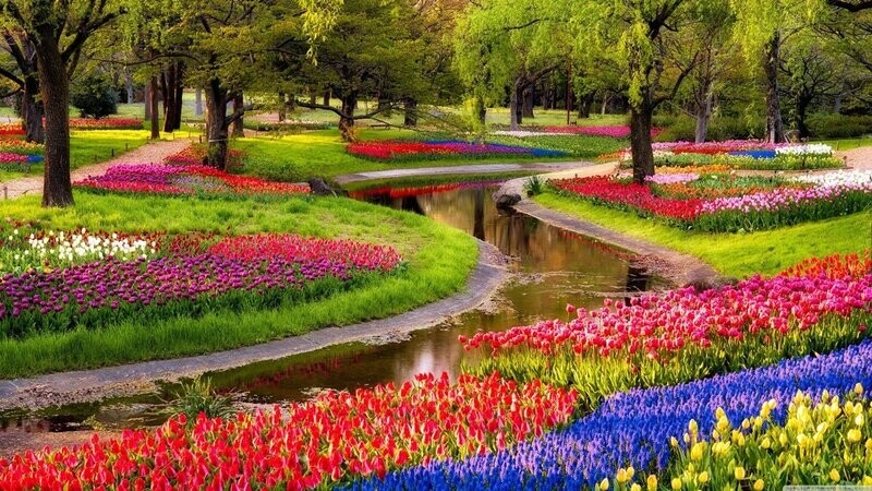 Starz Puzzles "Tulip Garden" Elongated