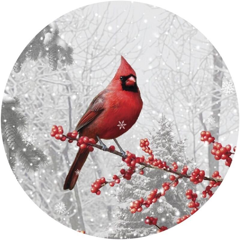 Alan Giana "Winterberry Cardinal" 3.5" Coaster Box Set of 4