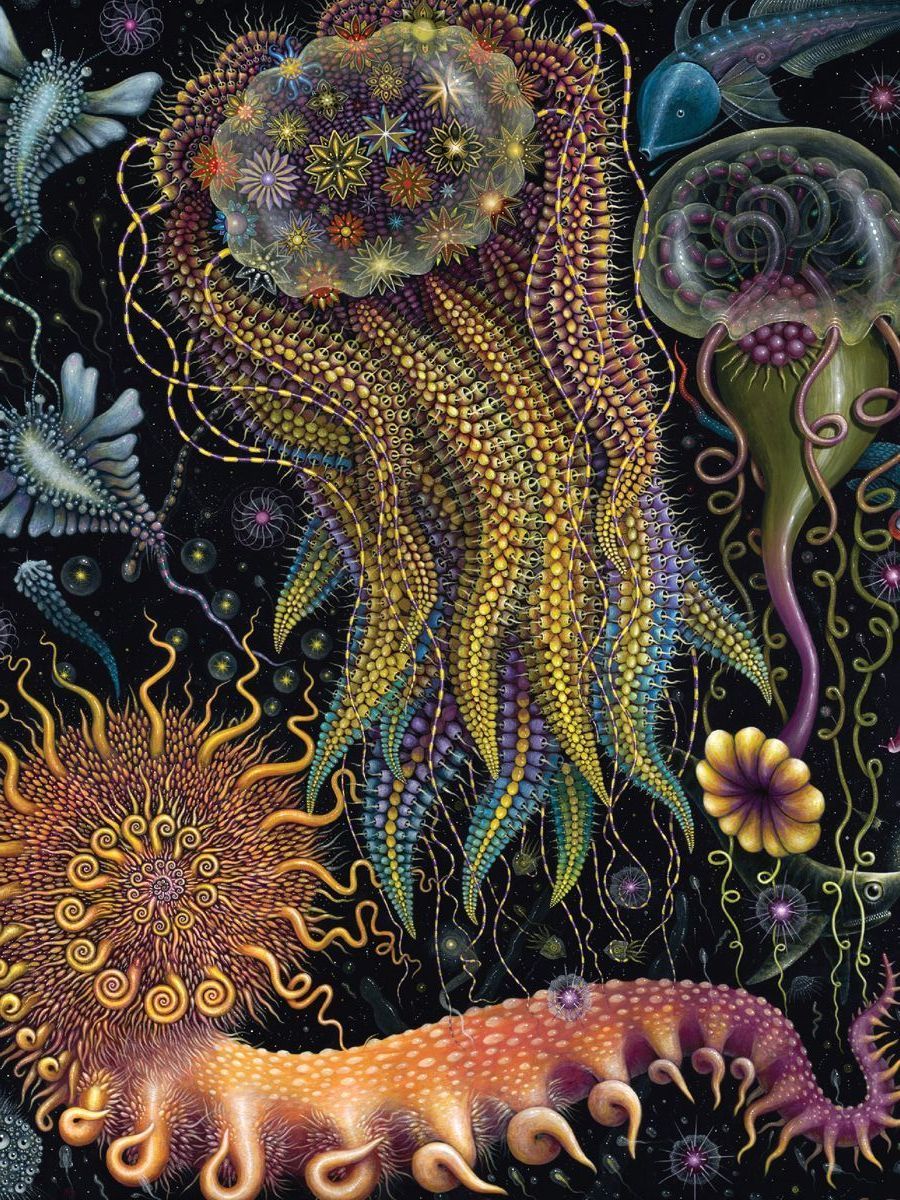 R.S. Connett "Devouring Star Jelly"