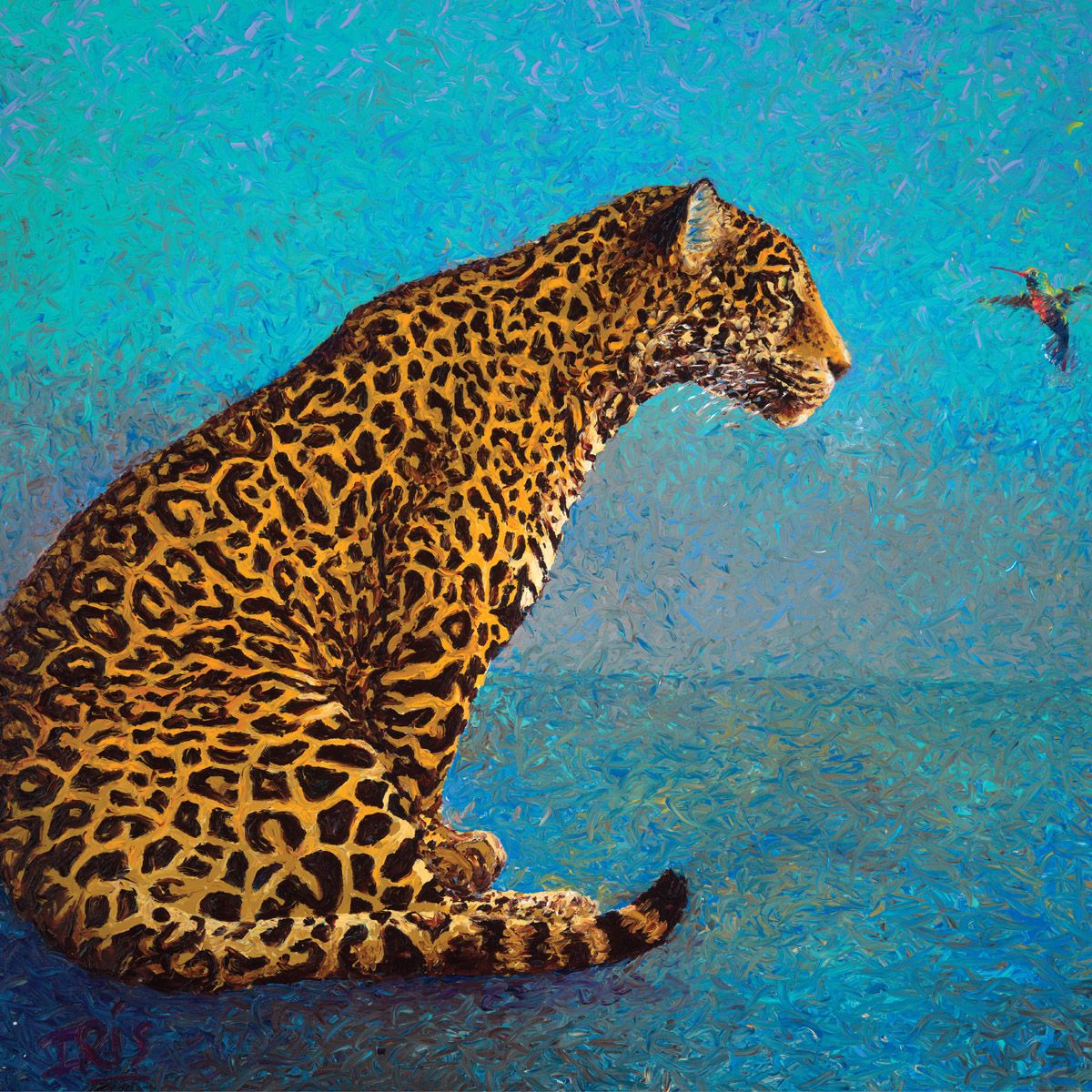 Iris Scott "Discussion" Square