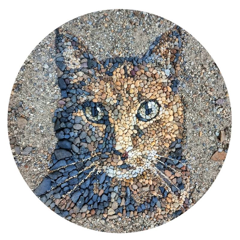 Justin Bateman "Tabby" 3.5" Coaster Box Set of 4