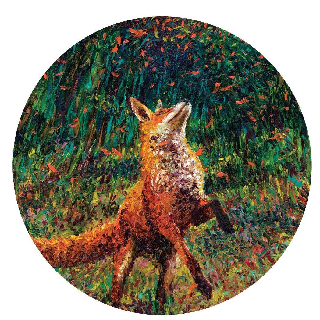Iris Scott "Fire Fox" 3.5" Coaster Box Set of 4