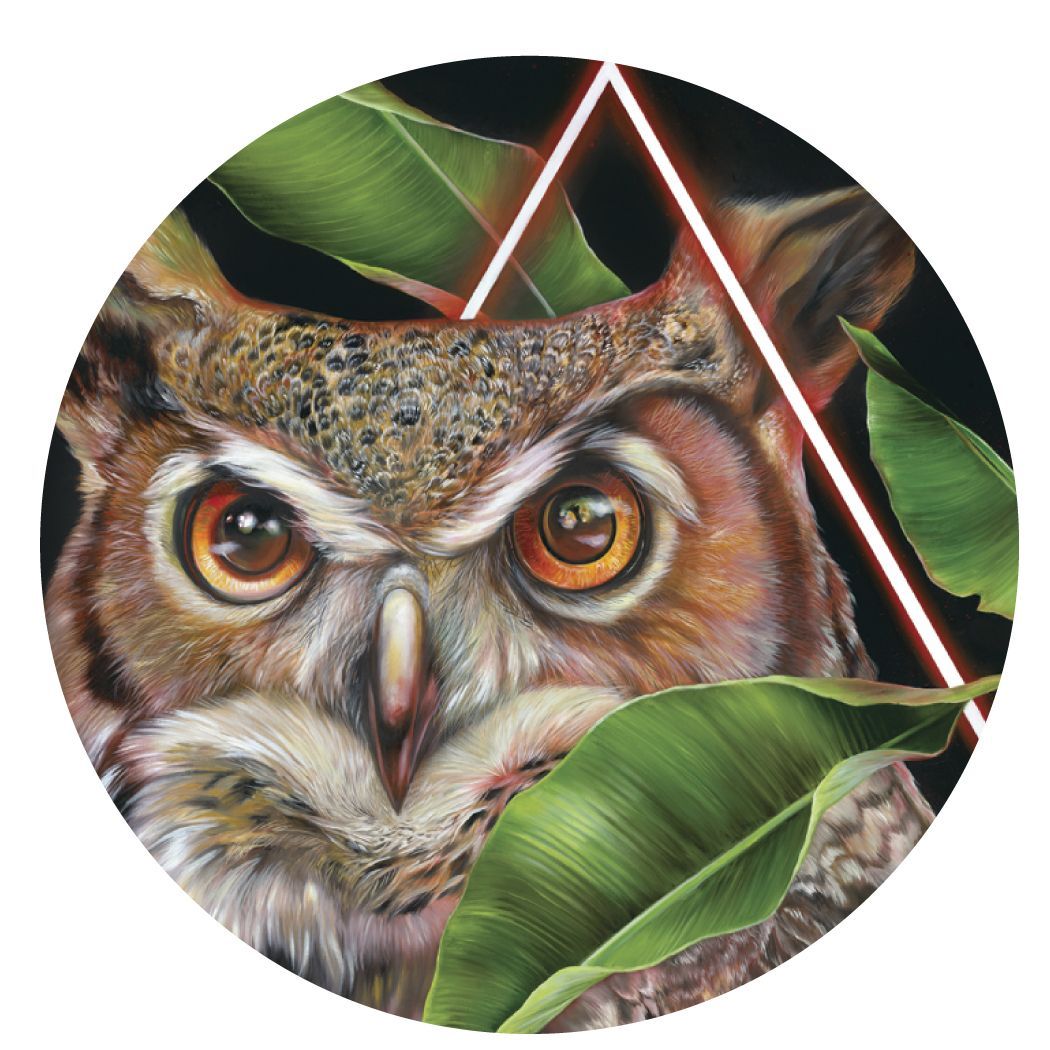 Samantha DeCarlo "Knight Vission" 3.5" Coaster Box Set of 4