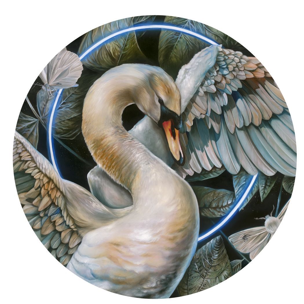 Samantha DeCarlo "Neon Swan" 3.5" Coaster Box Set of 4