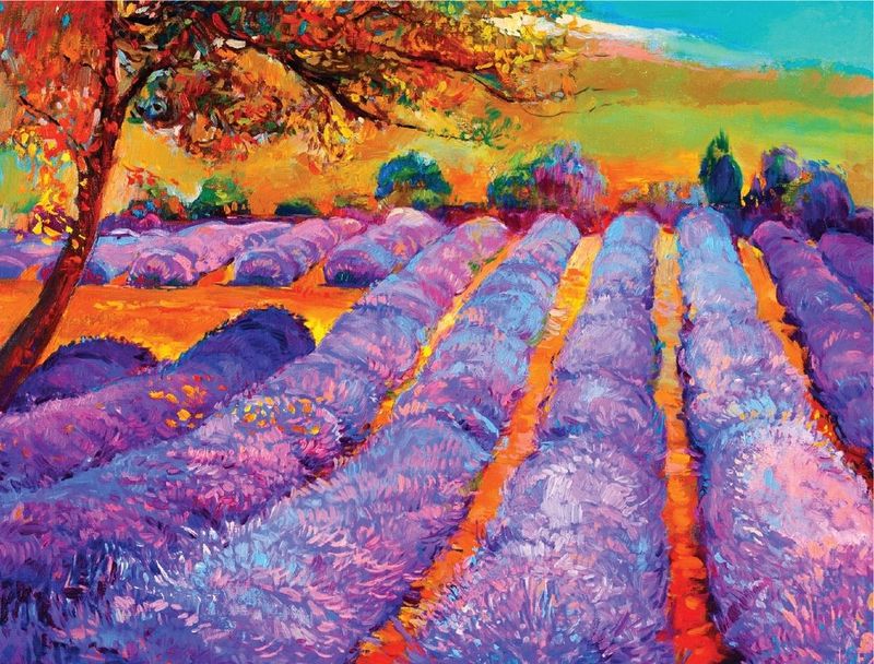 Lavender Feild Forever