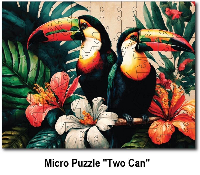 Micro Puzzle: 2