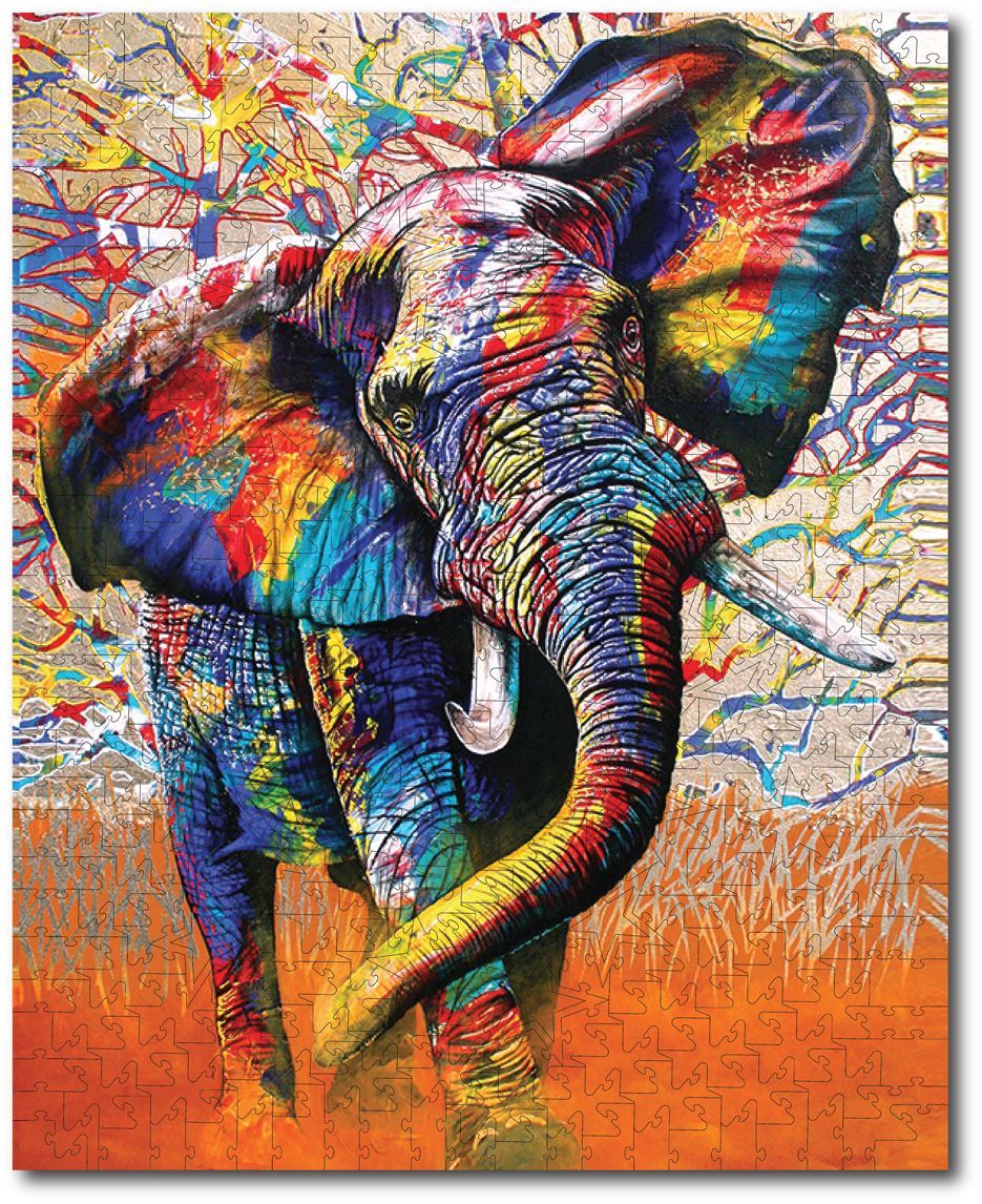 Graeme Stevenson "African Colors"