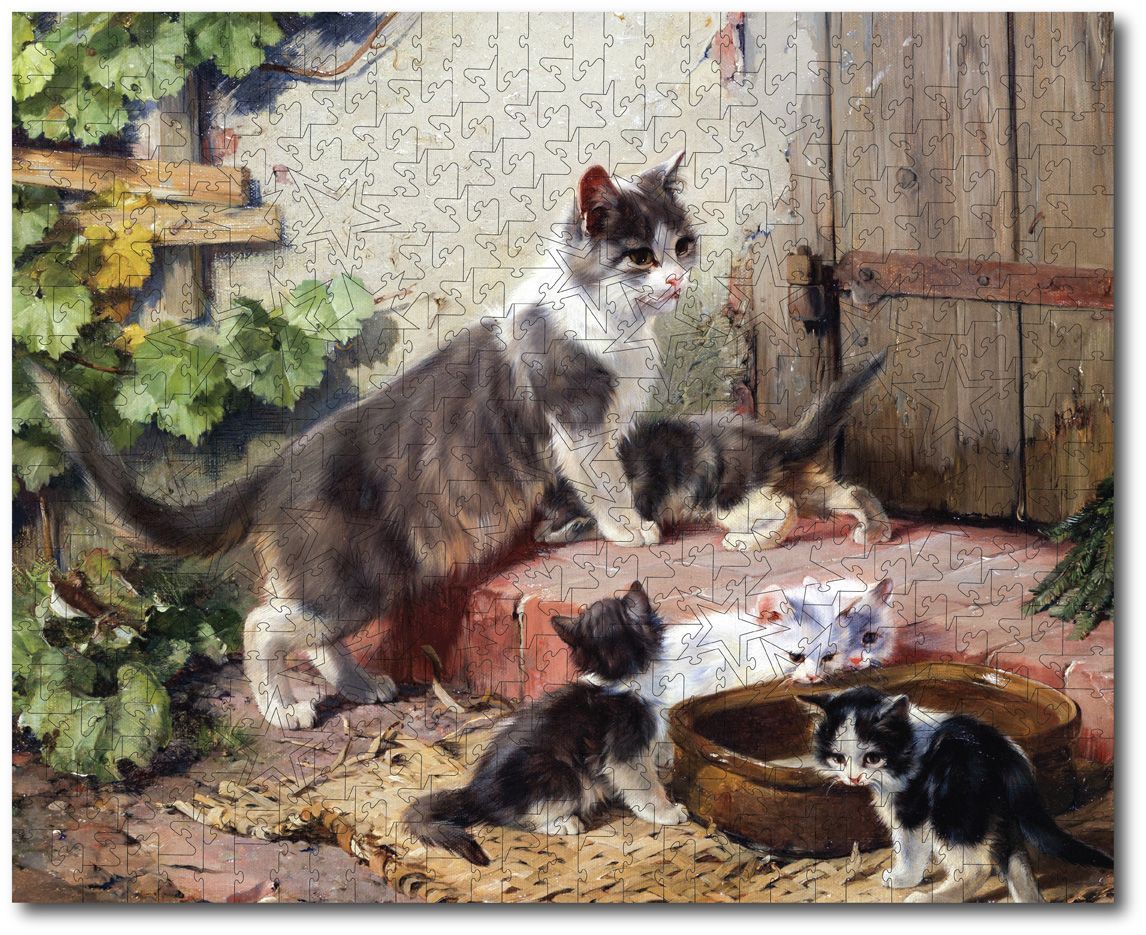 Mother Cat With Her Kittens Mother Cat With Her Kittens