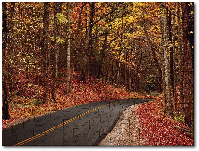 An Autumn Drive An Autumn Drive