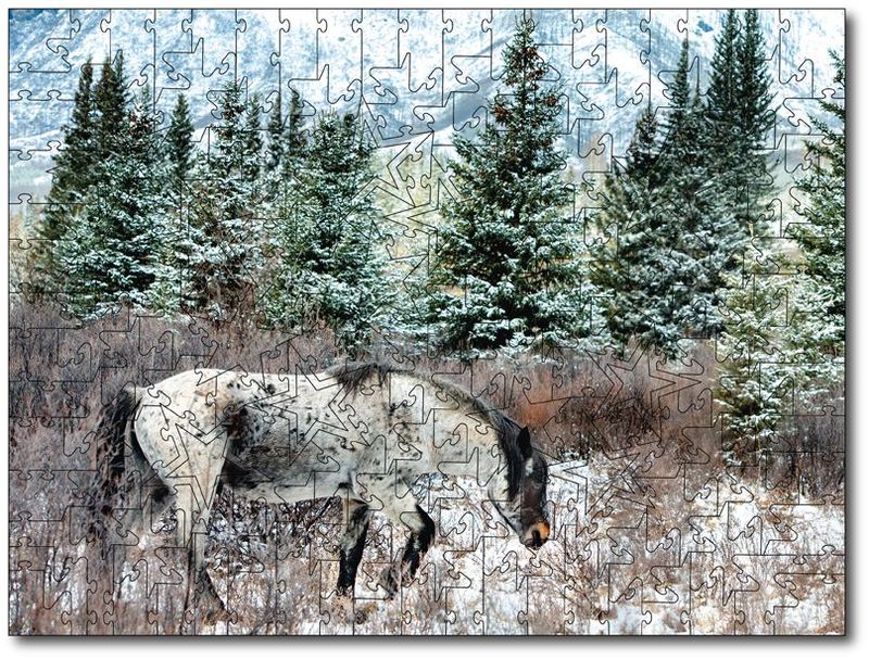 Sandy Sharkey "Alberta Wildie In The Mountains"