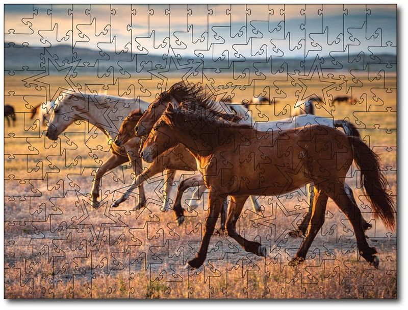Sandy Sharkey "Wild In The Desert"