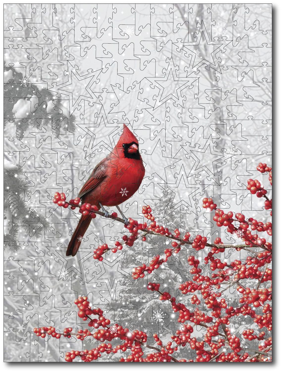 Alan Giana "Winterberry Cardinal"