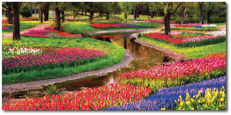 Tulip Garden - Elongated