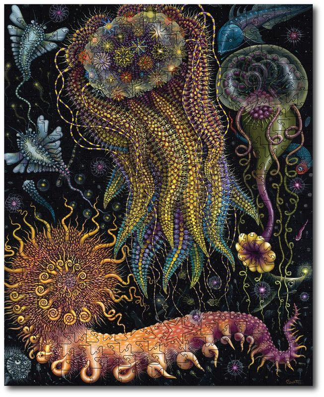R.S. Connett R.S. Connett "Devouring Star Jelly"