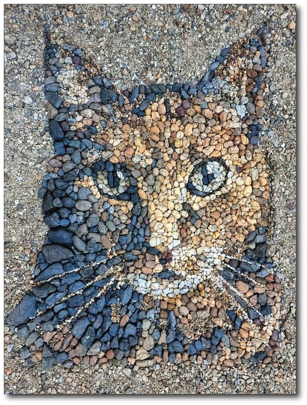 Justin Bateman "Tabby Tessellation"