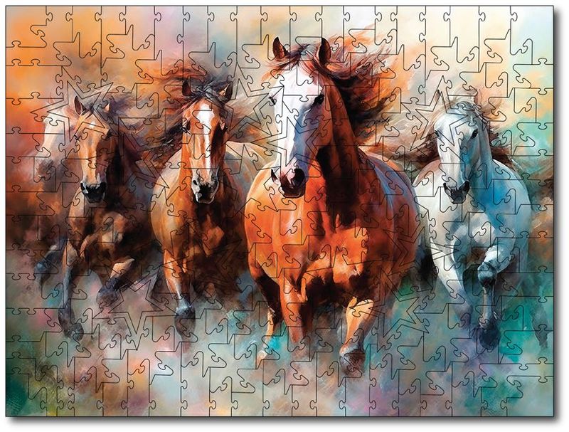 Wild Stallions