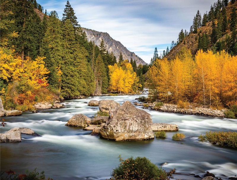 Fall Colors on Wenatchee River Fall Colors on Wenatchee River